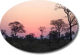 Mpumalanga Scenic Tours